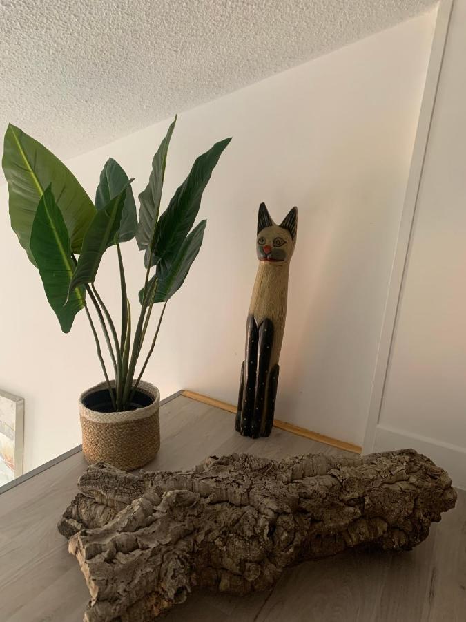 Apartament Duplex Raphael- Wi-Fi Et Parking Prive Tulon Zewnętrze zdjęcie